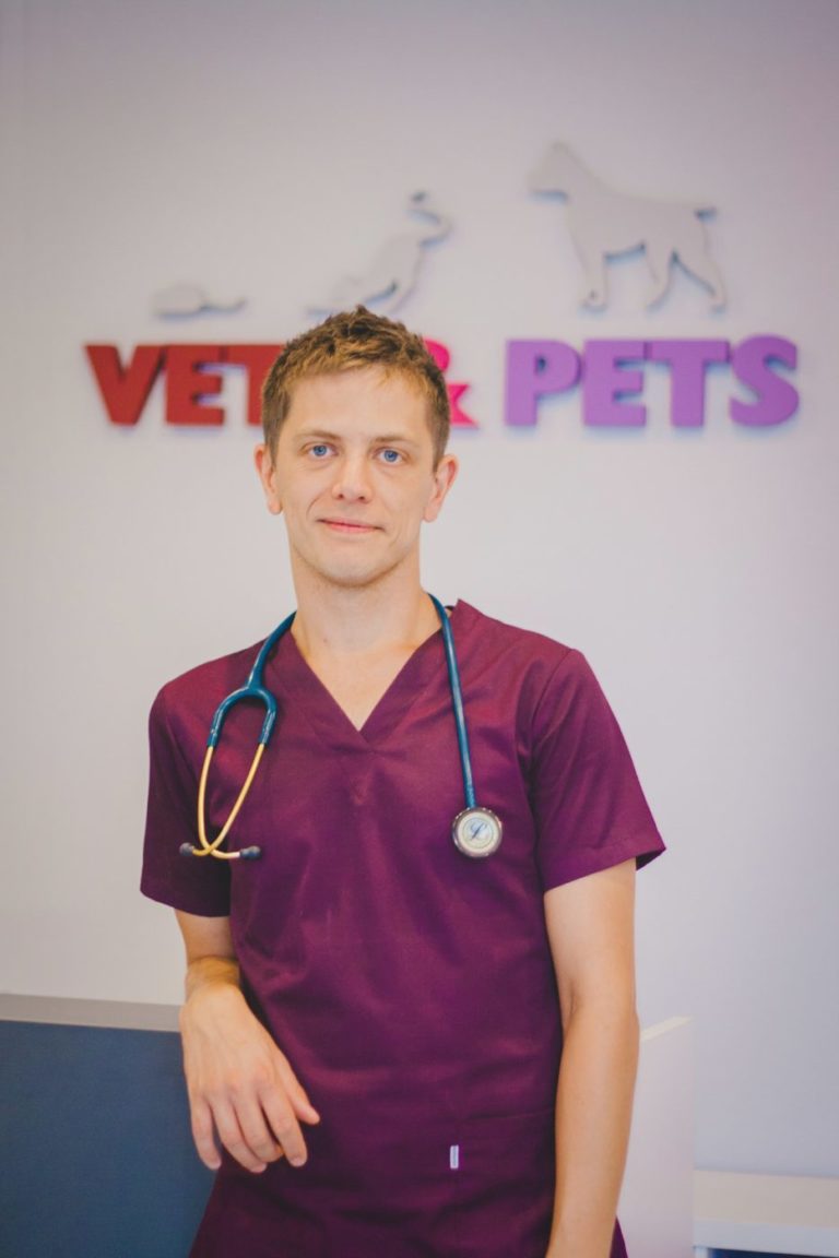 Grzegorz Dziwak Vets&Pets Vets&Pets Weterynarz Wrocław, Chirurg, Stomatolog